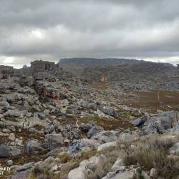 50_CLT_Gents_Trek_2024_original